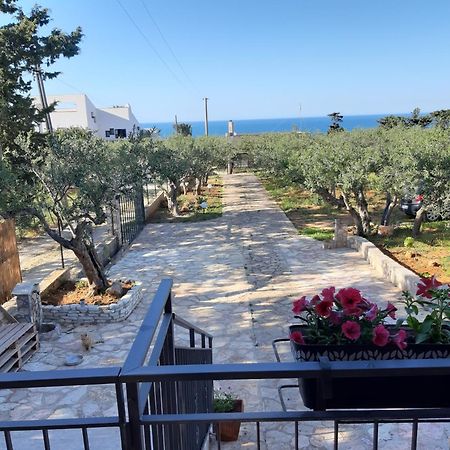 Villa L'Orizzonte Di Calabianca 卡斯泰拉马莱 外观 照片