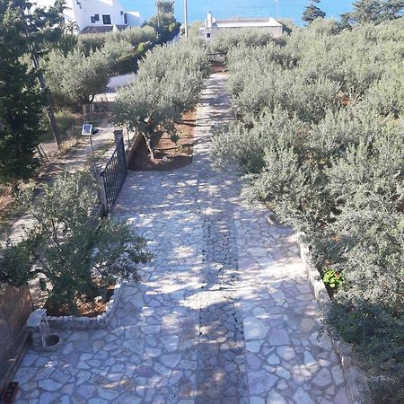 Villa L'Orizzonte Di Calabianca 卡斯泰拉马莱 外观 照片