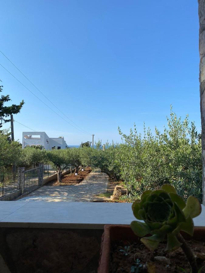 Villa L'Orizzonte Di Calabianca 卡斯泰拉马莱 外观 照片
