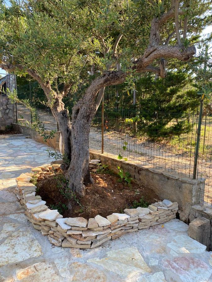 Villa L'Orizzonte Di Calabianca 卡斯泰拉马莱 外观 照片
