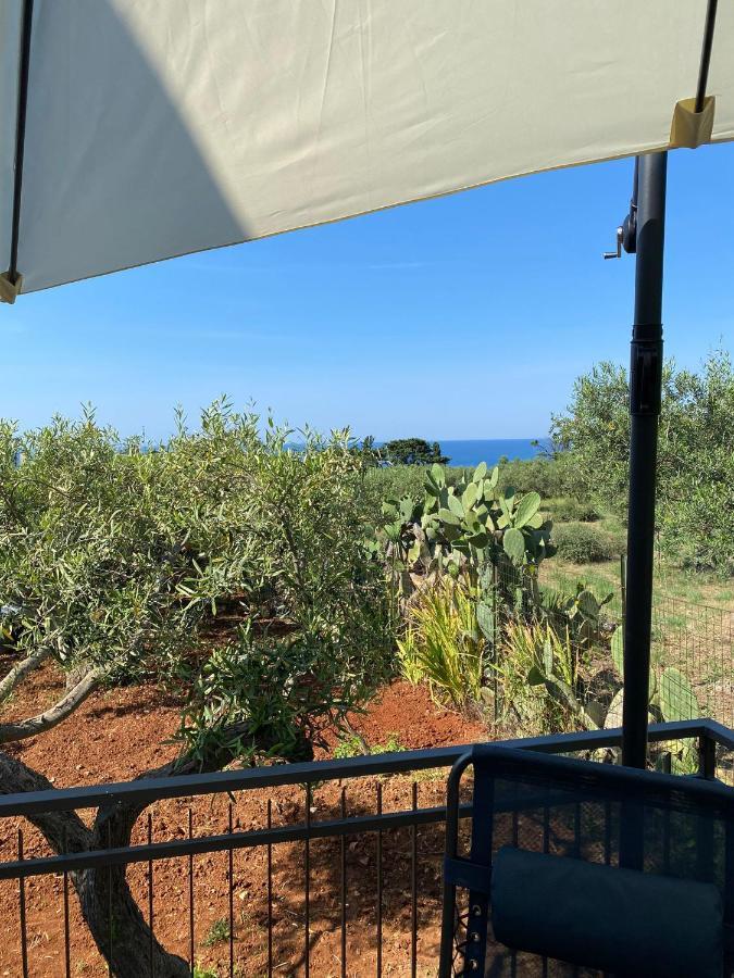 Villa L'Orizzonte Di Calabianca 卡斯泰拉马莱 外观 照片