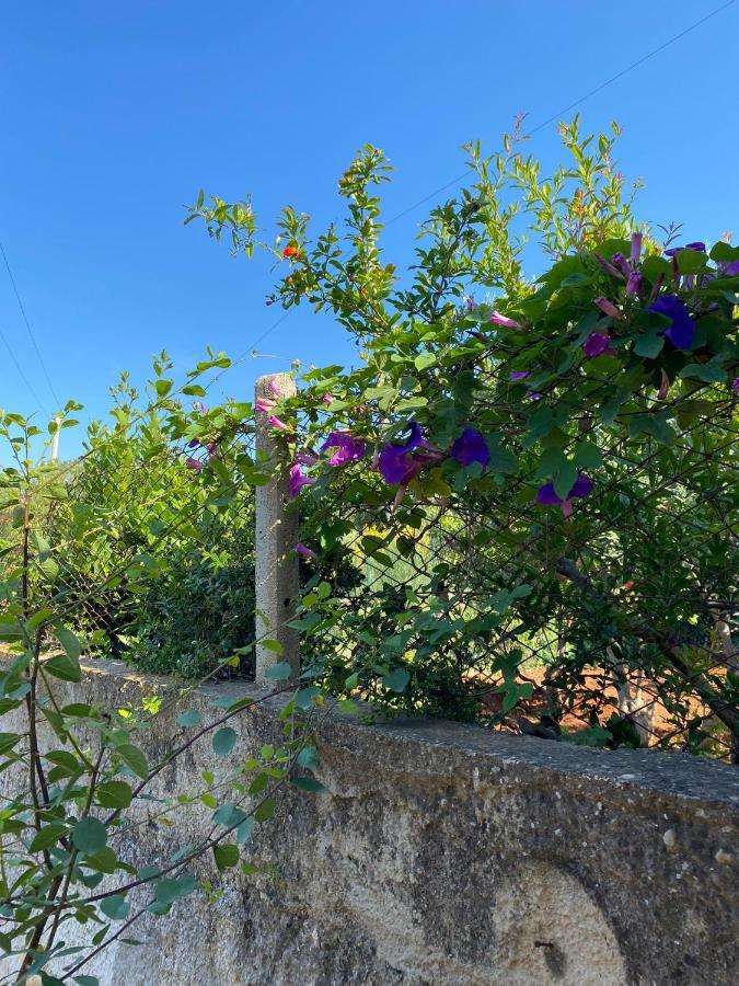 Villa L'Orizzonte Di Calabianca 卡斯泰拉马莱 外观 照片