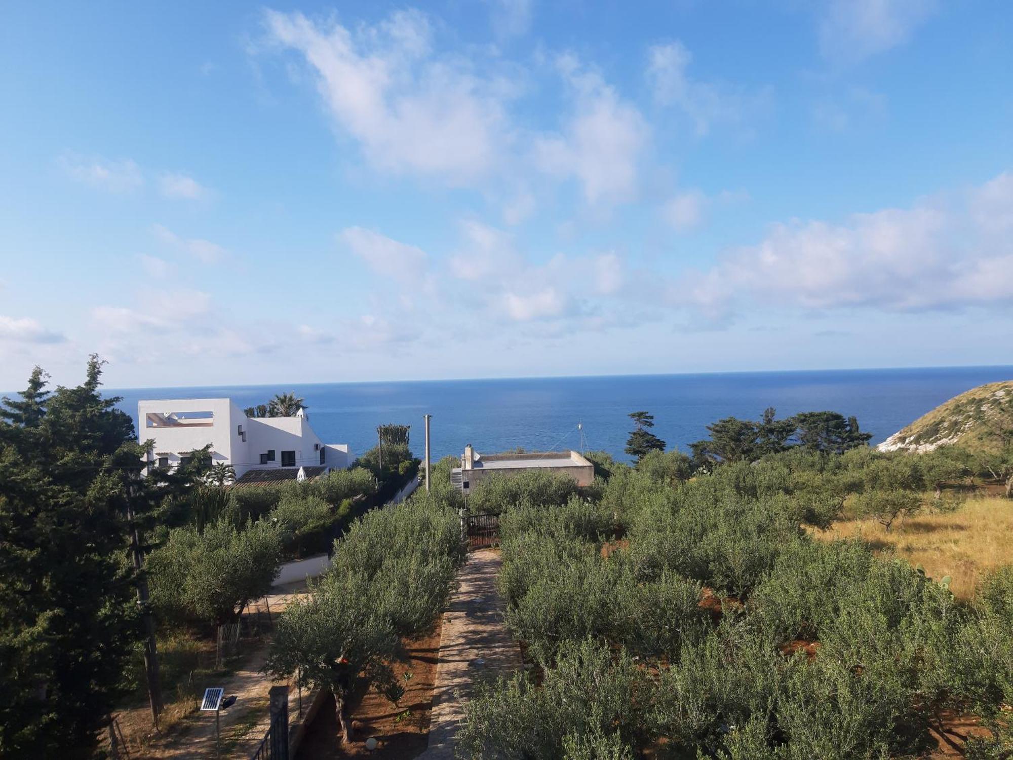 Villa L'Orizzonte Di Calabianca 卡斯泰拉马莱 外观 照片