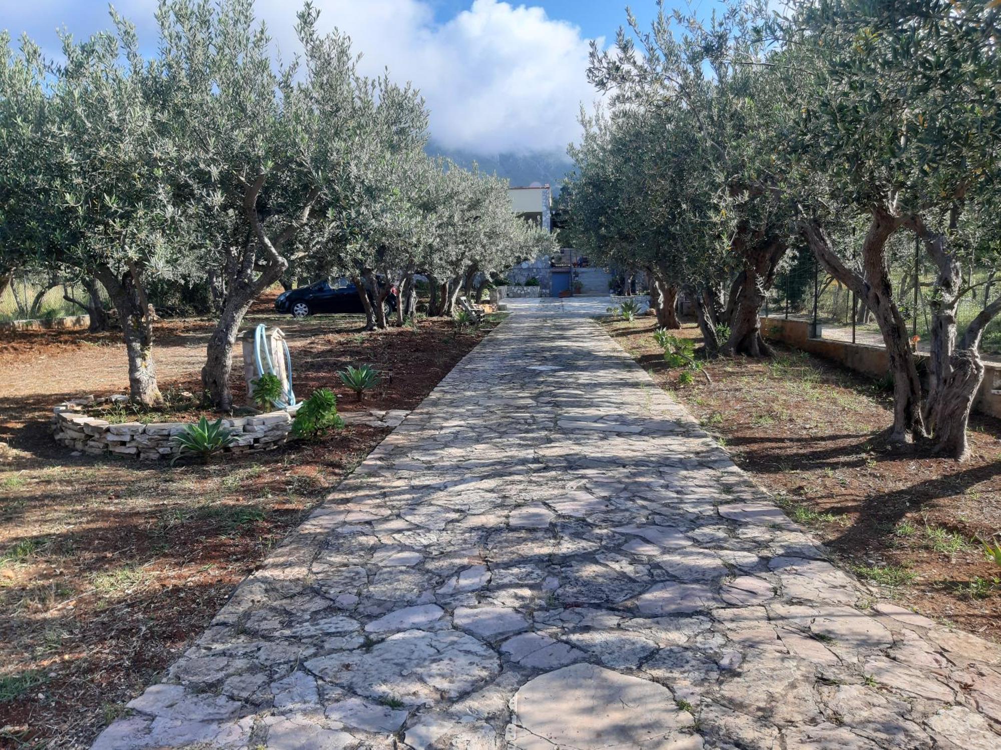 Villa L'Orizzonte Di Calabianca 卡斯泰拉马莱 外观 照片