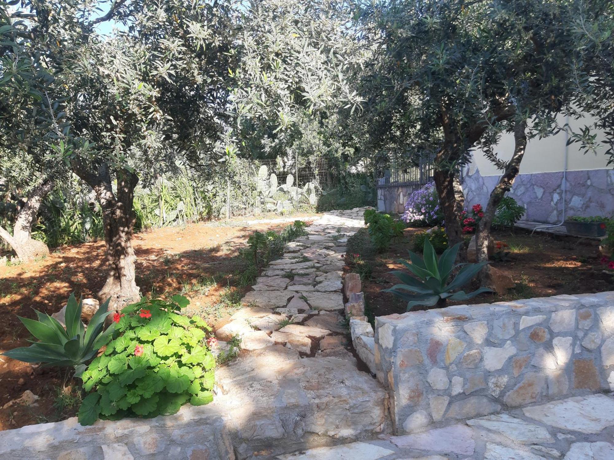 Villa L'Orizzonte Di Calabianca 卡斯泰拉马莱 外观 照片