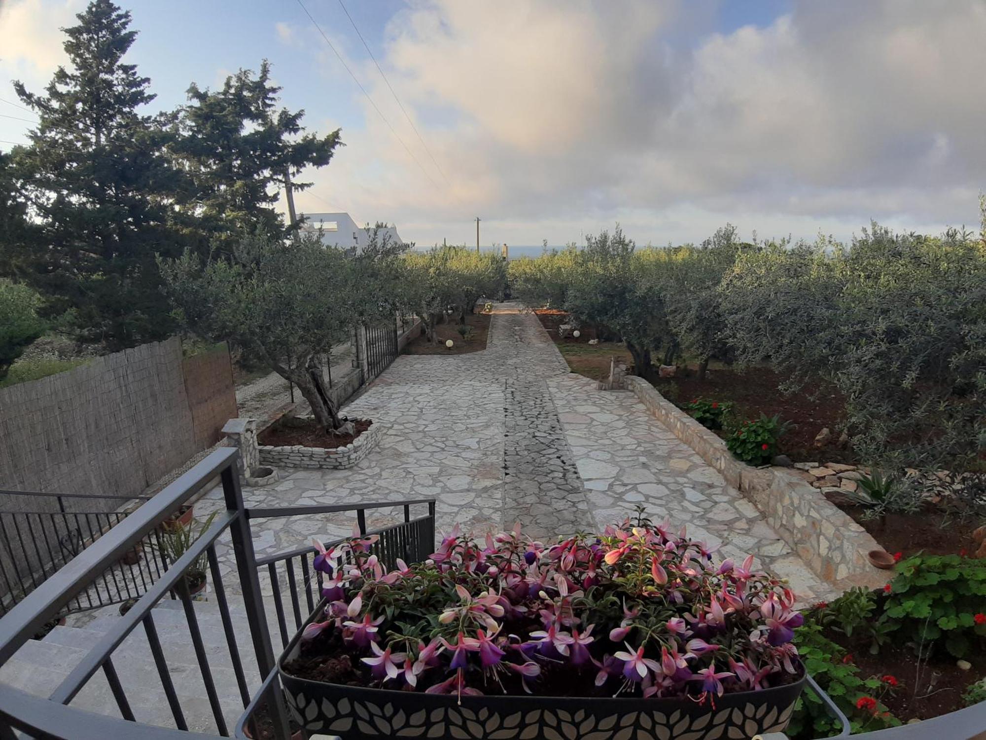 Villa L'Orizzonte Di Calabianca 卡斯泰拉马莱 外观 照片